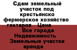 Сдам земельный участок под крестьянско-фермерское хозяйство 20 гектаров › Цена ­ 10 000 - Все города Недвижимость » Земельные участки аренда   . Красноярский край,Бородино г.